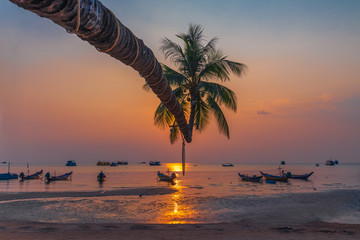 Beautiful nature scenic landscape sunset beach silhouette coconut palm tree and boat at Koh Tao, Amazed landmark tourist travel Thailand summer holiday vacation trips, Tourism destinations place Asia