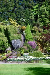 garden with trees and flowers in the spring