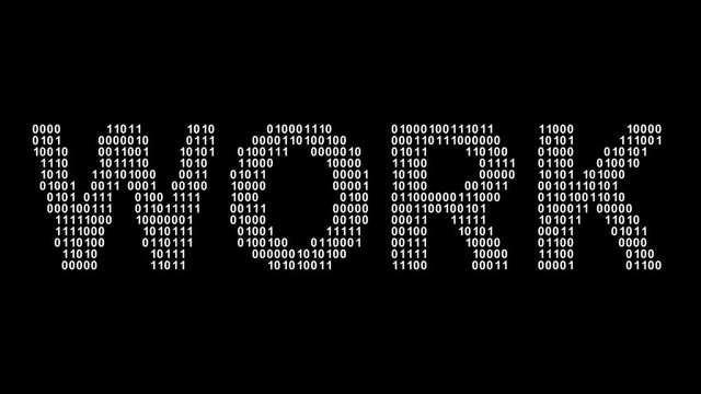 Work. Binary code in the screen. Looping footage. Illustration.