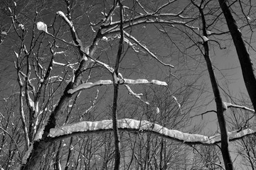 Winter landscape in Shefford mountain, Eastern township  Quebec, Canada