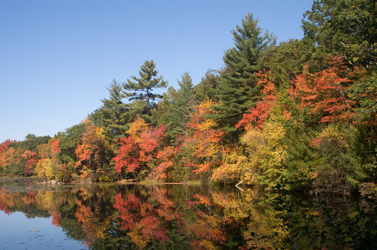 Harold Parker State Park, Andove, MA in the fall