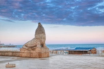 Mar del Plata sea lion statue near the coast    
