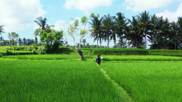 Young woman with map in large lush rice field with blue skies in Indonesia
