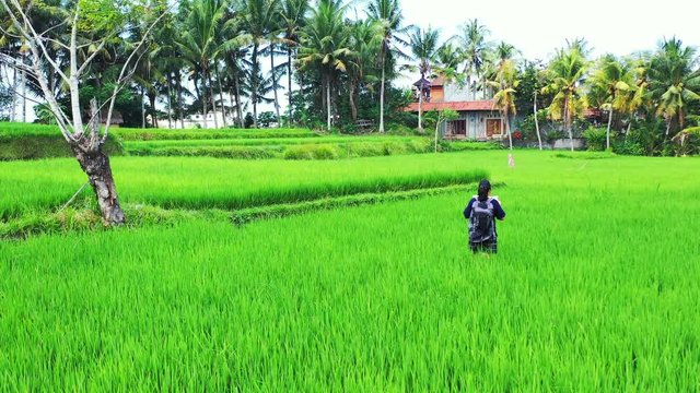Young beautiful woman standing in paddy field with map admiring the view in the remote location of Indonesia