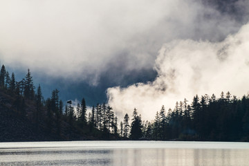 Beautiful silhouettes of pointy fir tops on hillside along mountain lake in dense fog. Coniferous trees above shiny calm water. Alpine tranquil landscape at early morning. Ghostly atmospheric scenery.