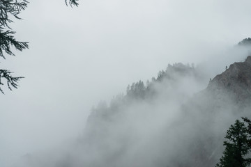 Ghostly alpine view through branches and low clouds to beautiful rockies. Dense fog among giant rocky mountains with trees. Atmospheric highland landscape. Big cliff in cloudy sky. Minimalist scenery.