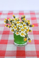 close up Coatbuttons flower on Tablecloth