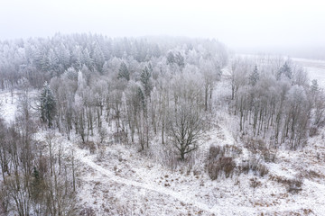 hoarfrost covered frozen trees in a forest. winter foggy landscape. aerial photo from the drone