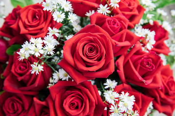 Bouquet of red roses with baby breath