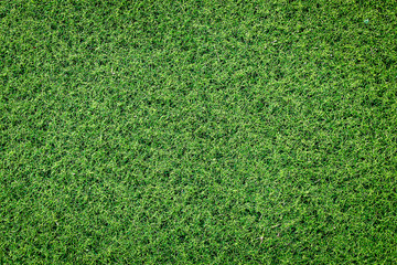 Obraz premium Green grass soccer field background.