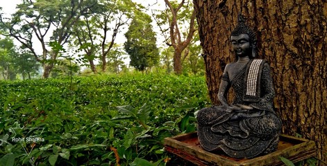 buddha in the garden