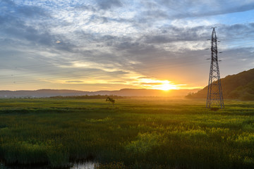 Obraz premium sunset in a swamp in hokkaido.
