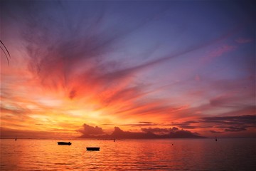 Tahiti, Moorea, île, sunset, couché du soleil - obrazy, fototapety, plakaty