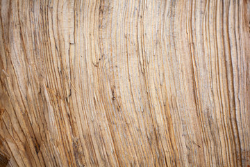 Wood texture. Natural background. The surface of the tree.