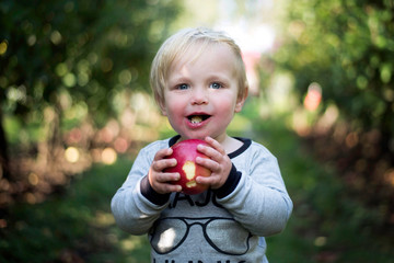 child eating an apple in park