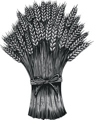 Illustration of sheaf of a wheat in engraving style. Design element for emblem, sign, poster, card, banner, flyer. Vector illustration