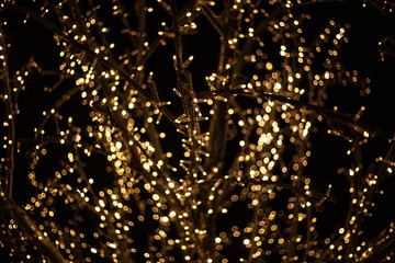 A tree decorated with garlands. Christmas light bulbs on twigs. LED lights shine with a warm yellow...