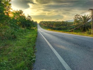 Fototapeta premium Long road without cars to drive through And surrounded by nature