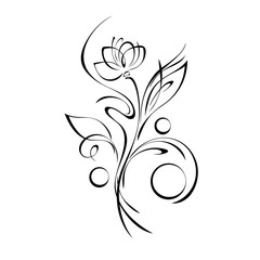 ornament 1023. one stylized flower Bud on a curved stem with leaves and curls in black lines on a white background