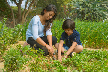 Mother and son doing gardening or planting saplings in garden using a trowel.
