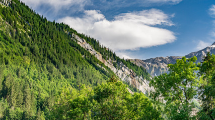 Switzerland, Panoramic view on green Alps around Saxeten valley