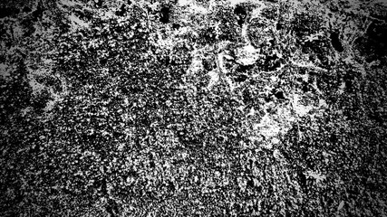 abstract grunge moss texture on the old floor. use as a background or wallpaper. black and white, so contrast and grainy.