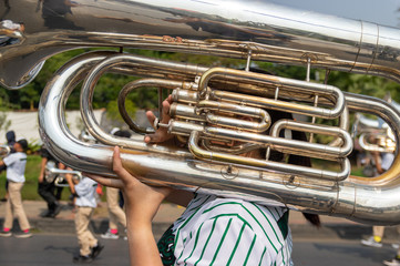 Picture of a tuba carried by someone with green striped shirt 