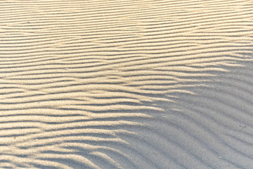 Obraz premium 砂浜にできた風紋