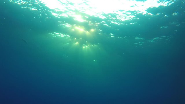 Underwater blue background in sea with sun in ocean