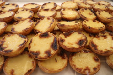 Portugal 포르투갈 Porto, Lisbon 리스본, 포르토