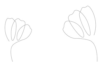 Spring tulip flower. Continuous line drawing. Vector illustration