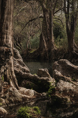 Esta fotografía es un paisaje de México 