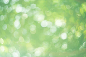 Copy space of nature green bokeh sun light flare and blur leaf abstract texture background.