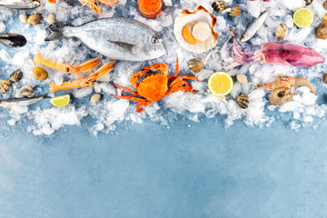 Fish and seafood background with copyspace, a design template. Sea bream, scallop, prawns, crab, sardines, squid, shot from above on ice