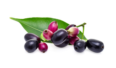 Fototapeta premium Jambolan plum iaolated on white background
