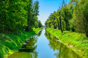 Nebenarm der Donau der gradlinig durch einen Mischwald fließt. Side arm of the Danube that flows...