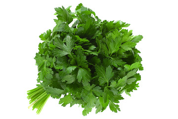 Fototapeta premium Parsley herb bunch