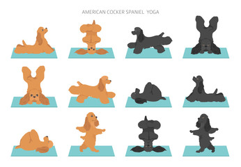 Yoga dogs poses and exercises poster design. American cocker spaniel clipart