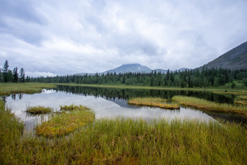 Mountain lake in the taiga. Mountains of the Subpolar Urals.