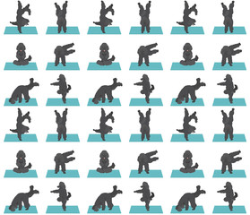 Yoga dogs poses and exercises seamless pattern design. Poodle clipart