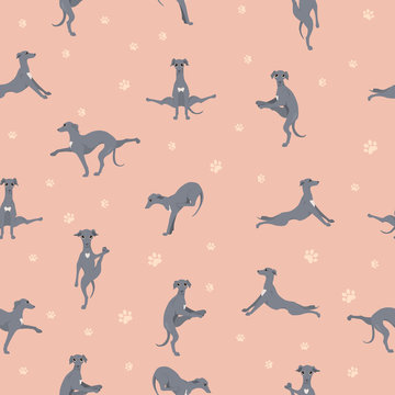 Yoga dogs poses and exercises seamless pattern design. Italian greyhound  clipart