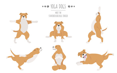 Yoga dogs poses and exercises poster design. Staffordshire bull terrier clipart
