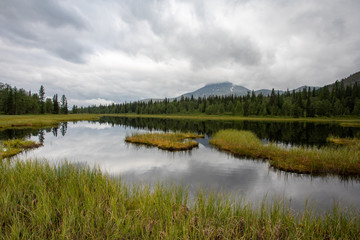 Mountain lake in the taiga. Mountains of the Subpolar Urals.