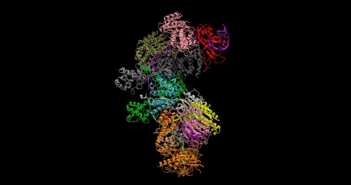 Crispr-cas 9 / Type I CRISPR-Cas System in cartoon ribbon representation, spinning on Y axis, 4K	

