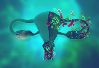 Virus bacteria with female uterus anatomy. 3d illustration.