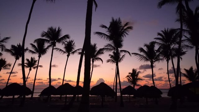 Sandy beach at sunrise in Punta cana, Dominican republic
