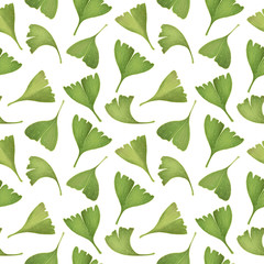 Gingko biloba leaves. Seamless pattern. Isolated on white background. Digital Illustration.