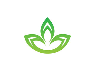 Nature leaf logo template design, icon, symbol