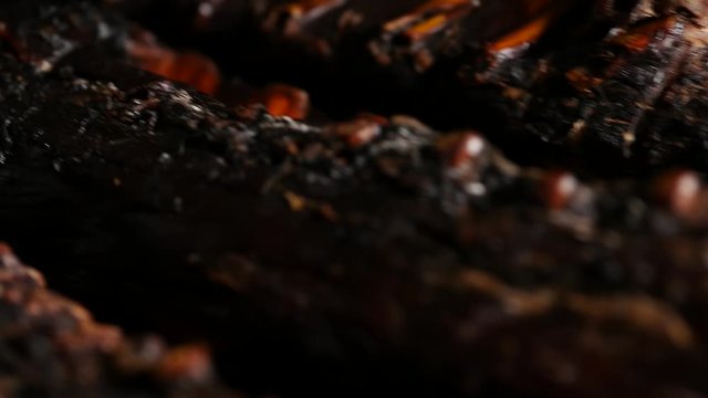 Close-up Gourmet Beef Jerky in the dark