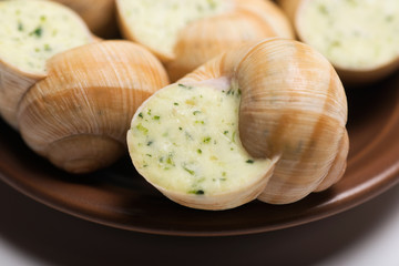 still life of stuffed snail sauce, on a white background